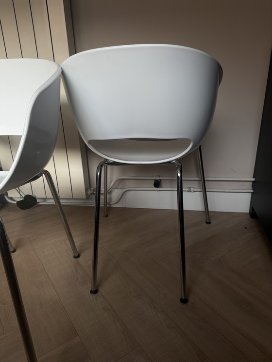 Image 1 of Sedie da pranzo (vasca)