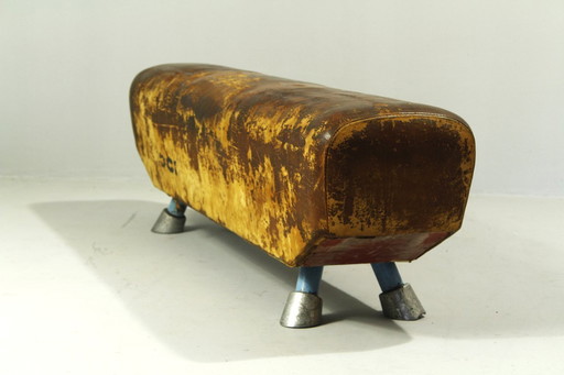 Panca da palestra vintage in pelle con cavallo a maniglie, anni '60