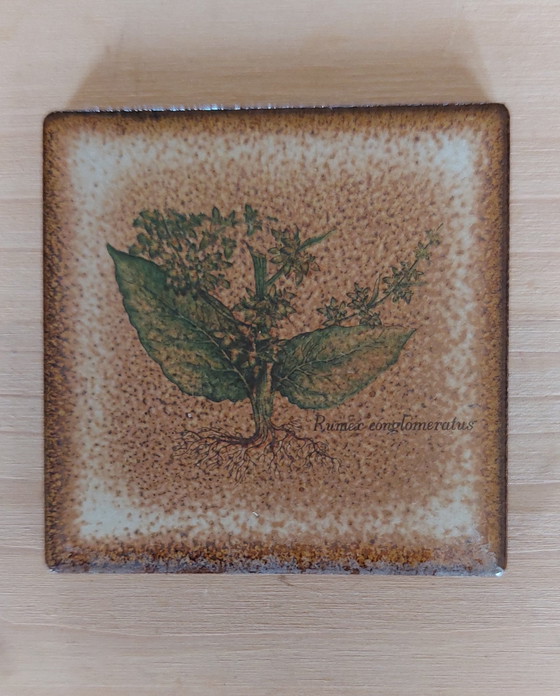 Image 1 of 16 confezioni da 6 piastrelle da parete in ceramica vintage con stampa botanica, anni '70