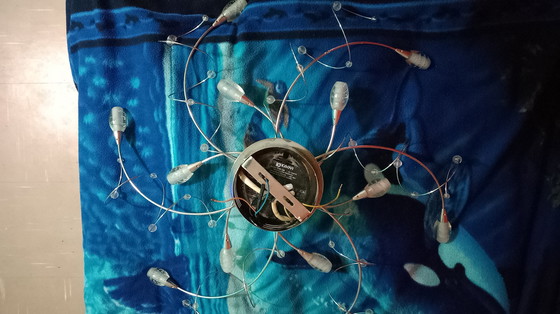 Image 1 of Ceiling Lights