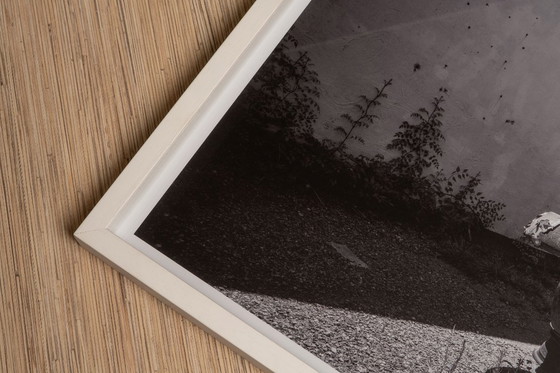 Image 1 of Faded Glory - Virginia 2022