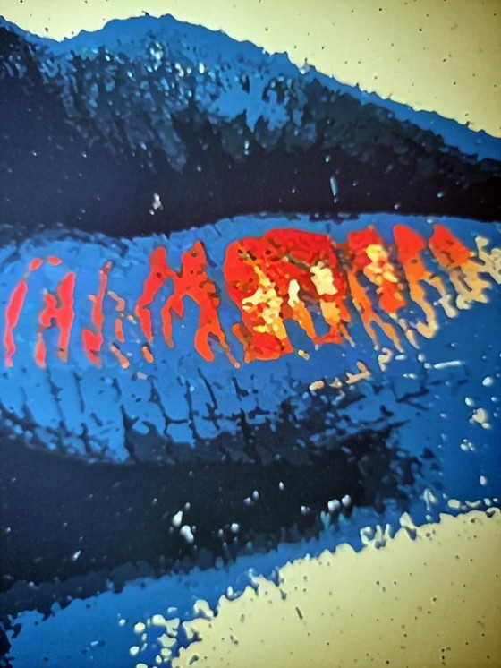 Image 1 of Tushikuni - Beyoncé - Framed Artist Lithograph