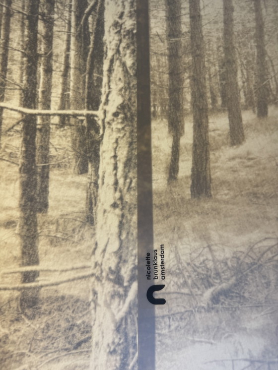 Image 1 of Grote Brunklaus Shady Tree Hanglamp