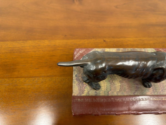 Scultura antica Bloodhound – Sculture, Bronzo, Pelle (photo 5 of 8)