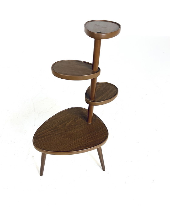 Image 1 of Vintage Plant Table '60