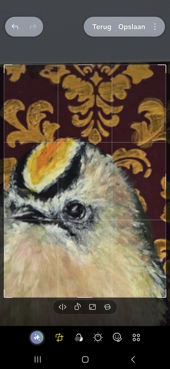 Goldcrest – Paintings & Drawings, Paper, Canvas (photo 5 of 6)