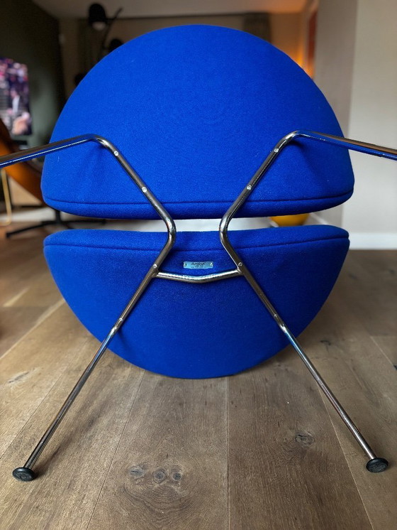 Image 1 of Sedia Artifort arancione lices blu reale