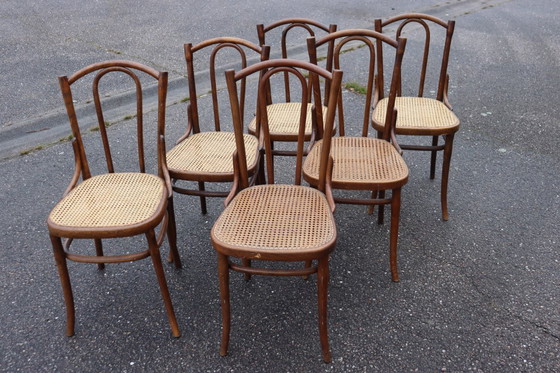 Image 1 of Sedie da bistrot serie x6 n. 56 di Thonet