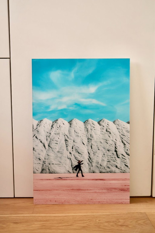 Sanja Marusic - Fleurs en décembre