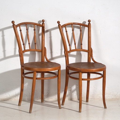 Ensemble ancien de 2 chaises en bois courbé – Europe Centrale, circa 1900