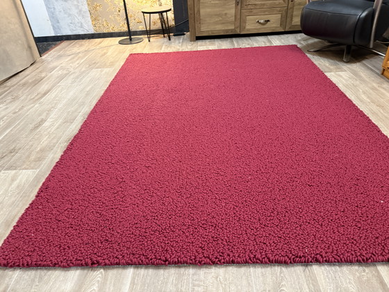 Image 1 of Bucles de Brink y Campman