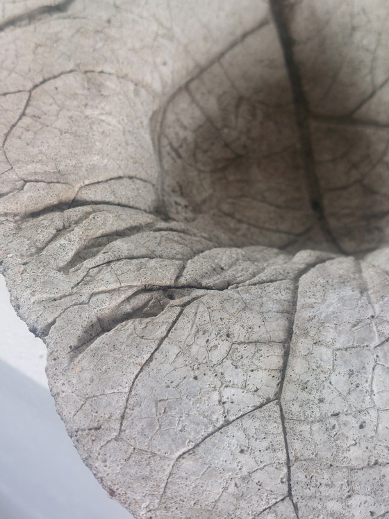 Image 1 of Coupe à fruits vintage en béton coulé, motif de feuille, pour bain d'oiseaux.