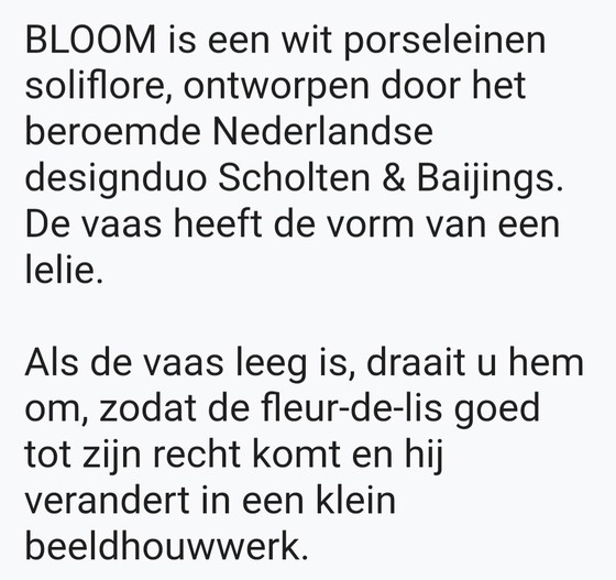 Image 1 of Jarrón de diseño / Jarrón de porcelana Bloom