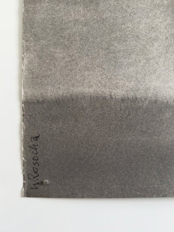 Image 1 of Geschilderde vogel – 1991 – Originele vintage Poolse poster van W. Rosocha | 98 × 68 cm | Polen