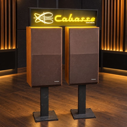 Cabasse Loudspeakers with Stands and Neon Light