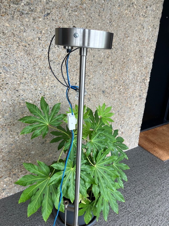 Image 1 of Lampada da soffitto