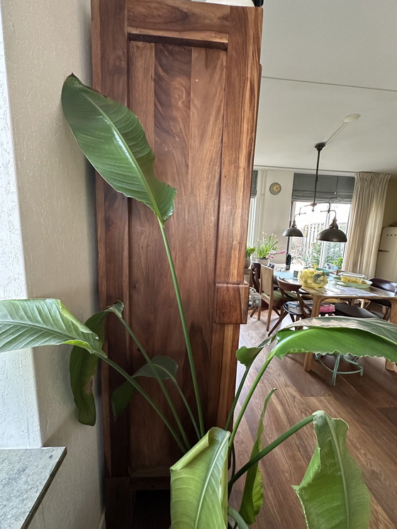 Image 1 of Design kast van massief walnut - repro koelkastmodel