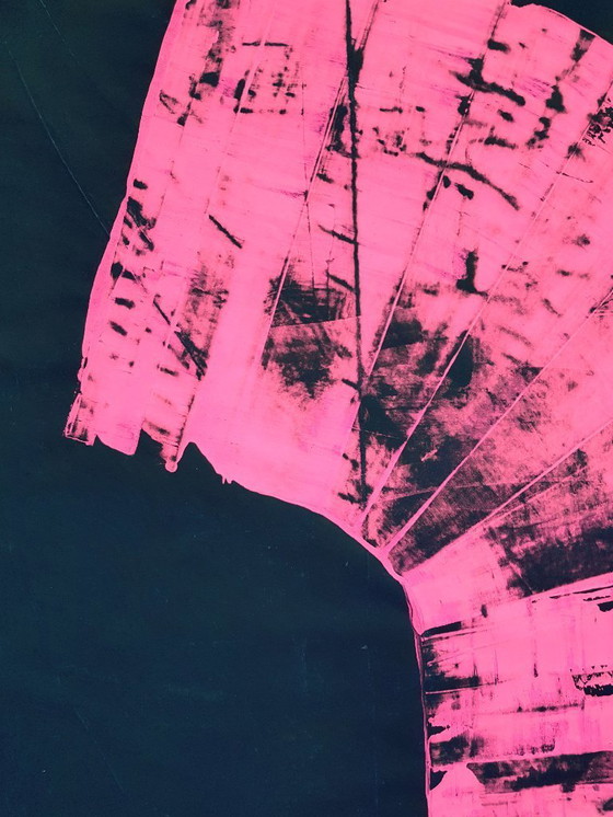 Image 1 of Jürgen Angeler - Roze Kamer