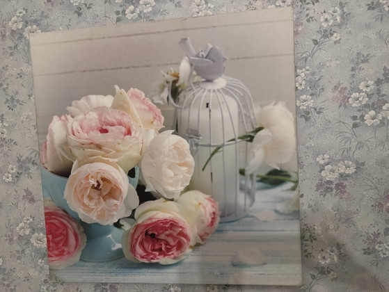 Image 1 of Schilderij op canvas van een vogelkooi en bloemen.
