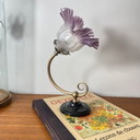 Aplique de cuello de cisne de latón con pantalla de tulipa de cristal