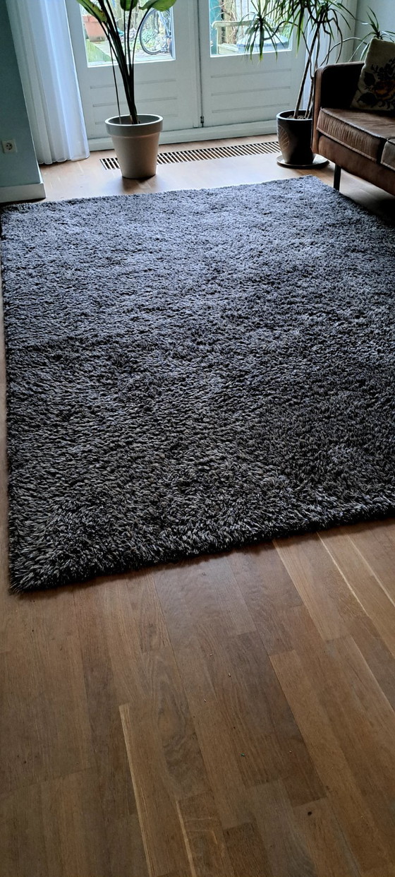 Image 1 of Carpet Sign Sauvage 200x300cm