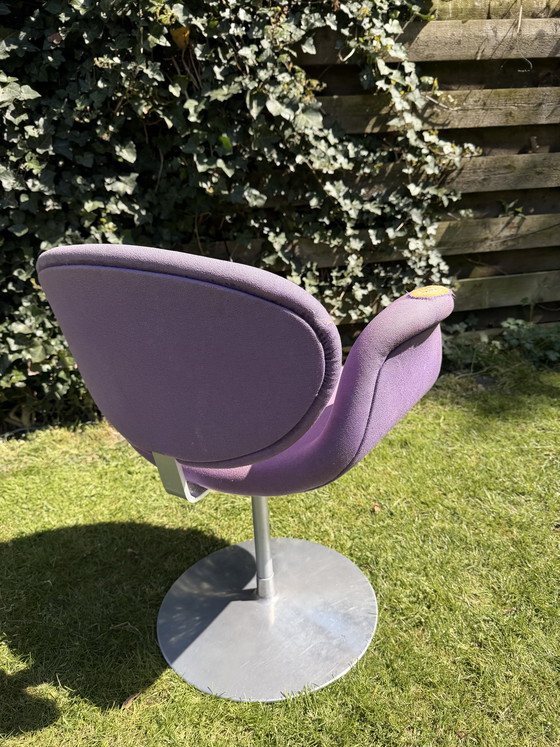 Image 1 of Little tulip Artifort (purple) badly damaged