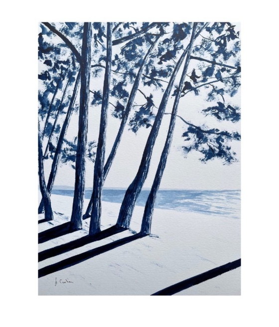 Image 1 of Oost-Indische inkt op wit fabriano papier 300g Onderwerp: Cap Coz Formaat 40x30 cm.