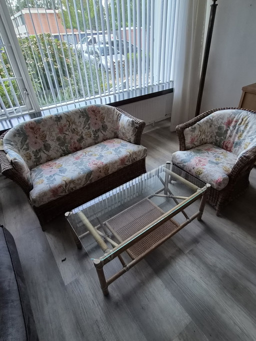 Juego de cañas para invernadero o casa de jardín – zithoek, Glass, Rattan