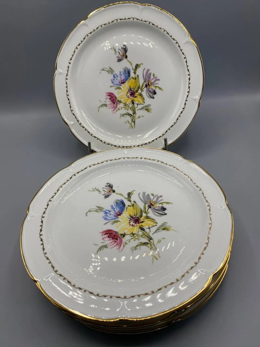 5 piatti piani in porcellana Royal C.G. Vierzon, decorati con motivi floreali dipinti. – decoratieve objecten, Porcelain