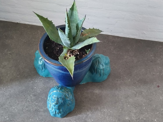 Image 1 of Macetero / Portavasos León