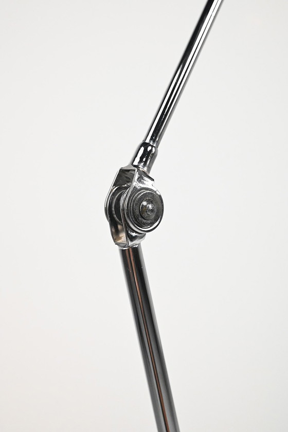 Image 1 of Daphine Terra floor lamp for Lumina