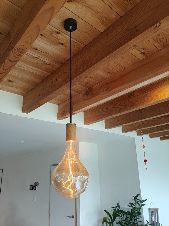 Image 1 of Hanglamp Tala Voronoi II Walnut 