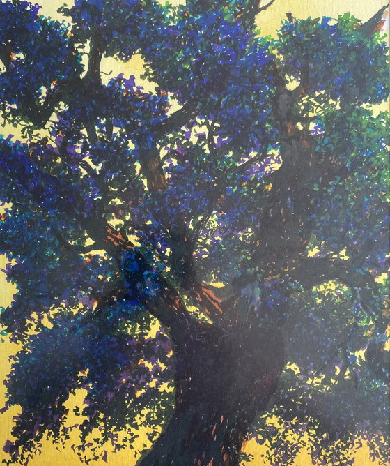 Image 1 of Eiken in betere tijden