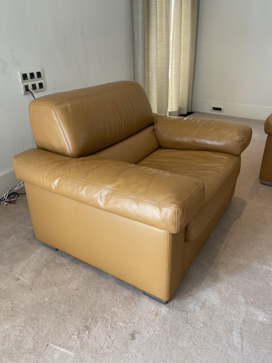 Image 1 of Perida design colore Torro mais