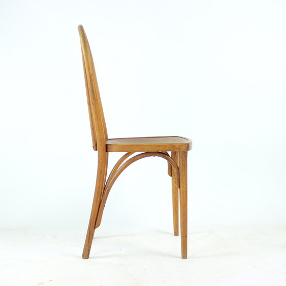 Image 1 of Vintage Thonet Bentwood Eiken Stoel Met Origineel Etiket, Tsjecho-Slowakije, jaren 1920