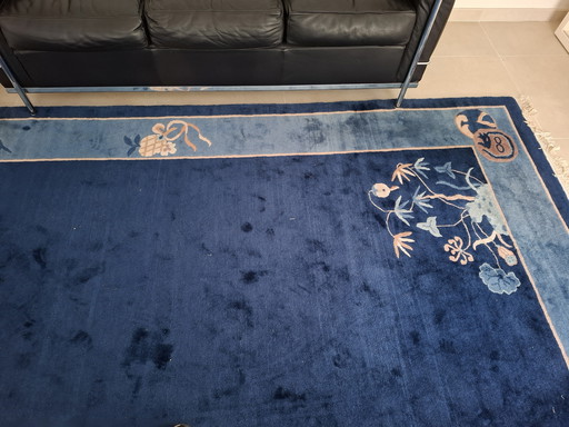 Rug thick quality blue 320x255cm