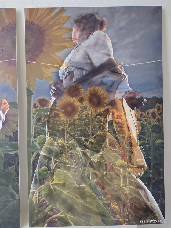 Image 1 of 2 obras fotográficas; título: girasol