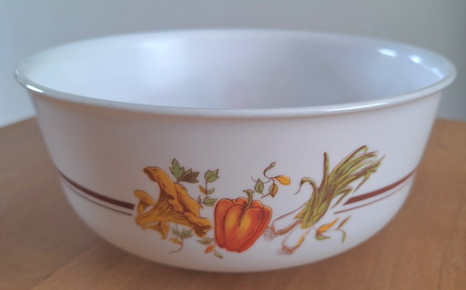 Arcopal France Bowl