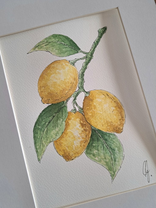 Original watercolor painting of lemons, including gold-colored frame.