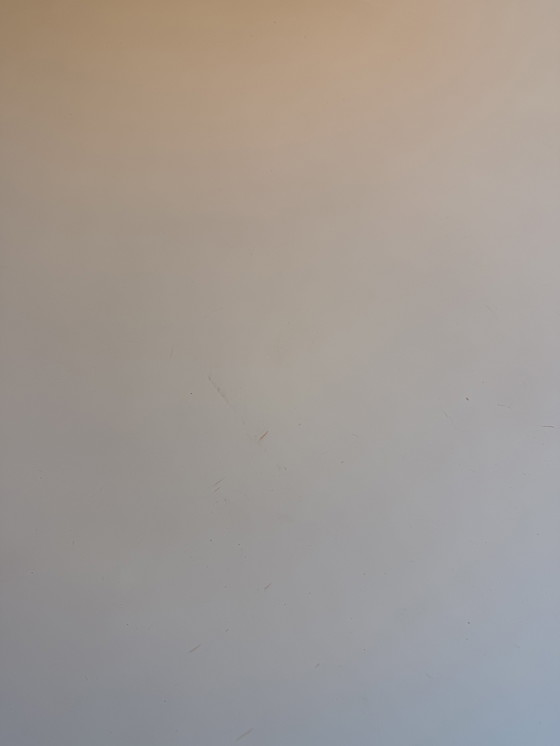 Image 1 of Castelijn Circlips 2 & Leather sled-leg chairs