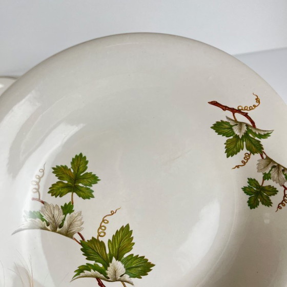 Image 1 of Juego de 5 platos hondos Villeroy & Boch con diseño de vid.