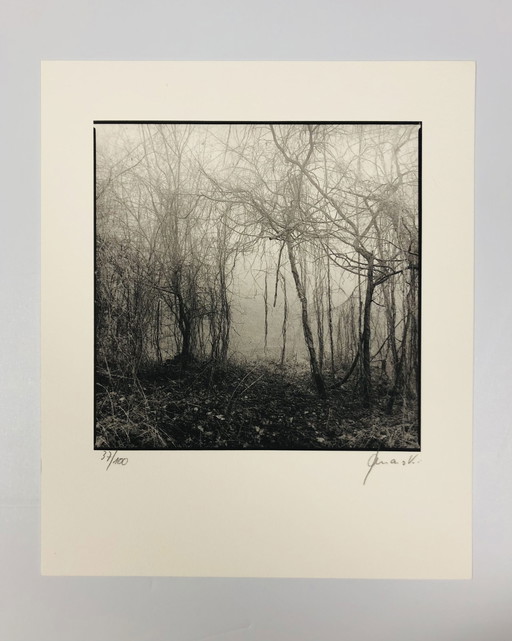 Ralph Janowski - Photo print