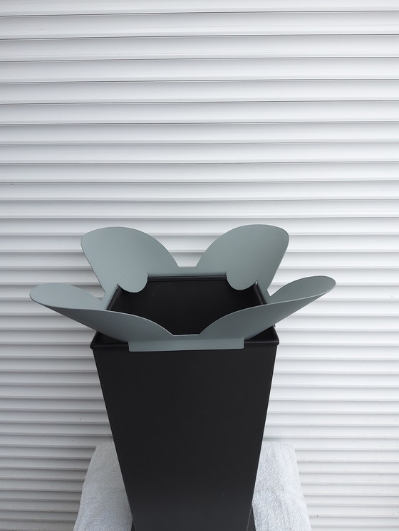 Image 1 of Escarabajo Borek Sipek