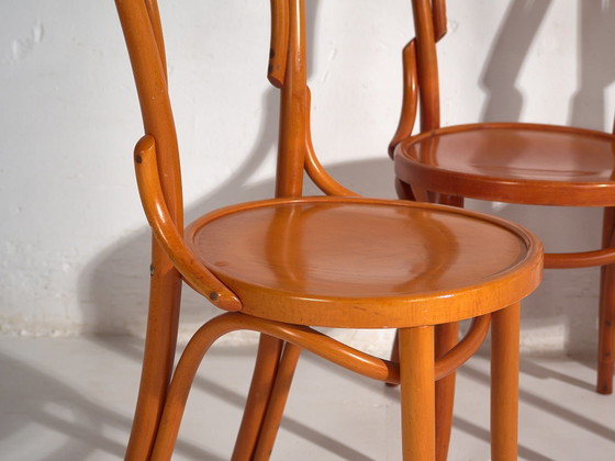 Sedie Thonet antiche (c.1920). Set di 4 pezzi #5 – Sedie da pranzo (photo 22 of 40)