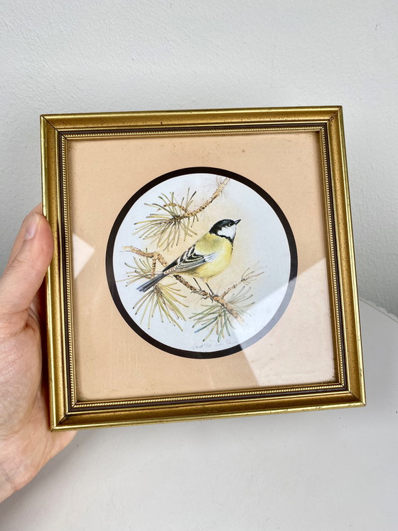Image 1 of Small Vintage Bird Gold Framed Art Print - Cute Great Tit Retro Portrait in Square Gold Frame on Beige Background - Rustic Deco