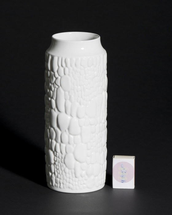 Image 1 of Manfred Frey AK Kaiser Glossy Porcelain Vase Fossil REPTILE Relief Op Art DUO