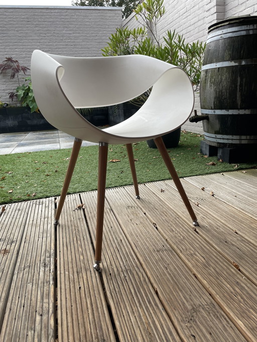 5X Züco Little Perillo Chair