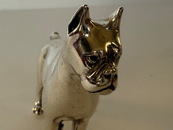 Image 1 of Chien boxer Saturno en argent massif
