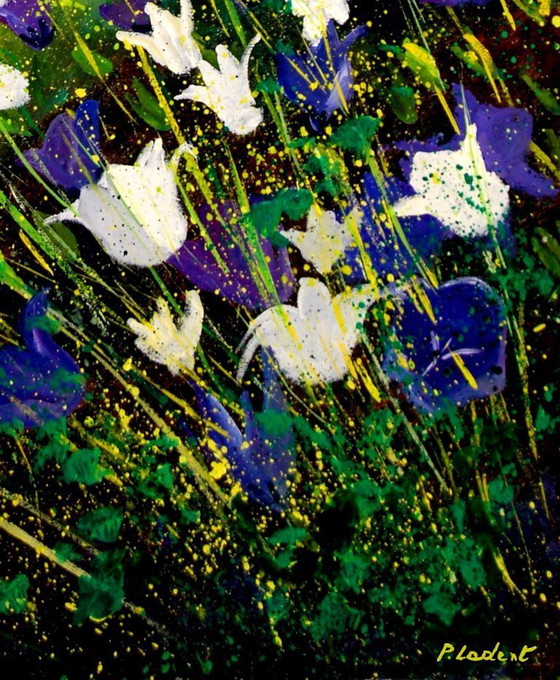 Image 1 of Campanulas