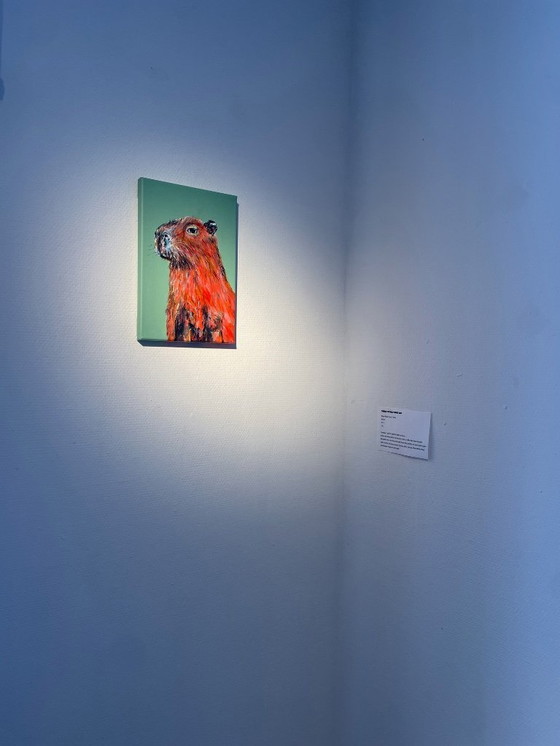 Image 1 of Porträt eines Wasserschweins